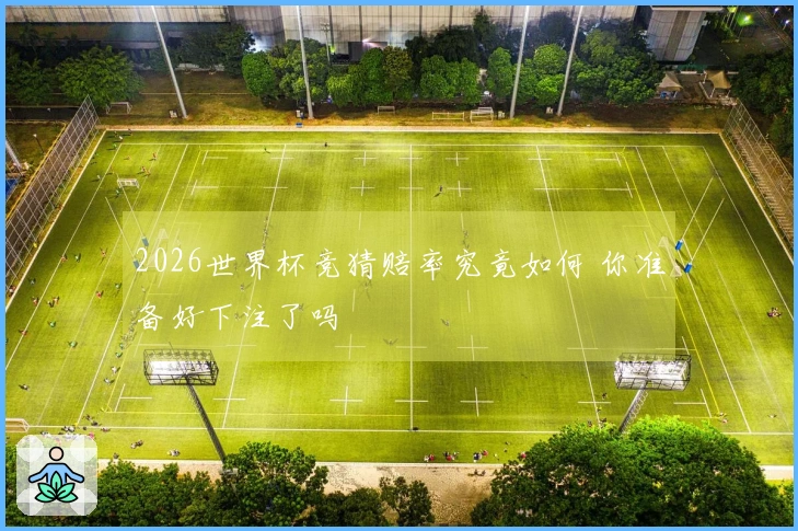 2026世界杯竞猜赔率究竟如何 你准备好下注了吗