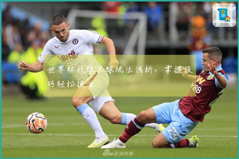 世界杯让球买球玩法浅析，掌握技巧轻松投注