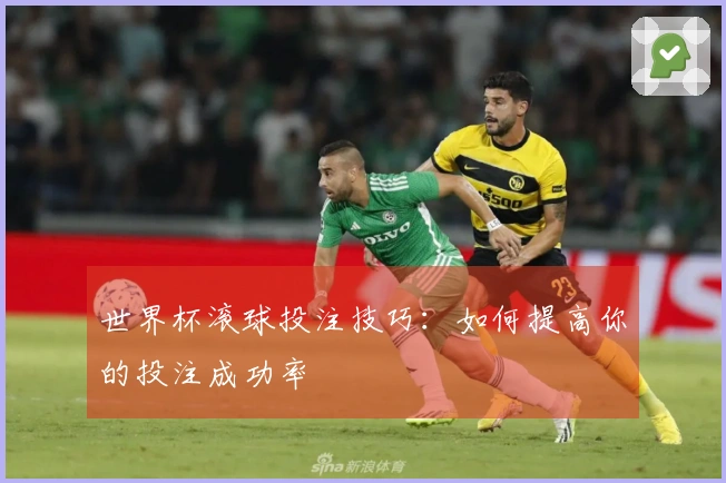 世界杯滚球投注技巧：如何提高你的投注成功率