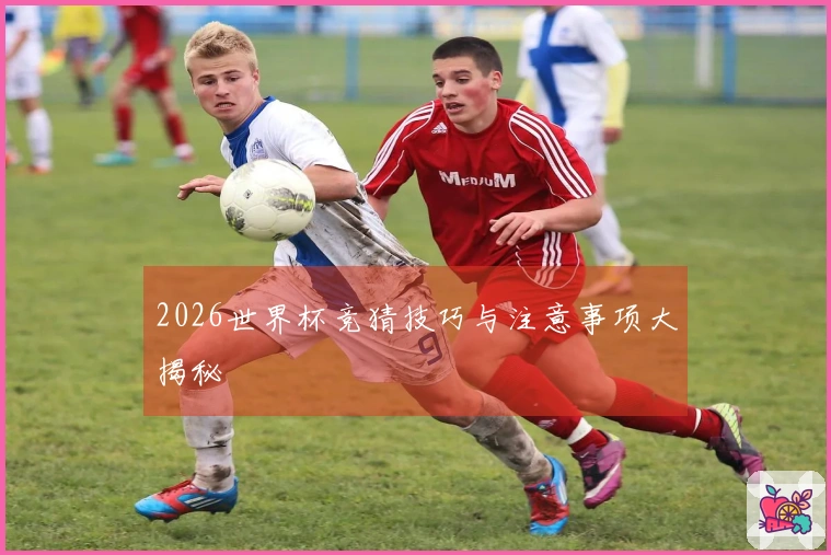2026世界杯竞猜技巧与注意事项大揭秘
