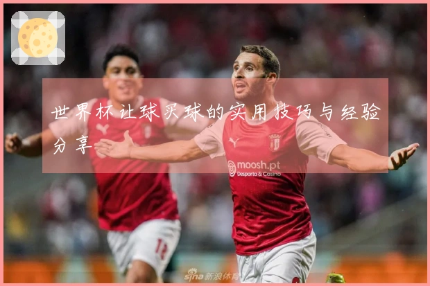 世界杯让球买球的实用技巧与经验分享
